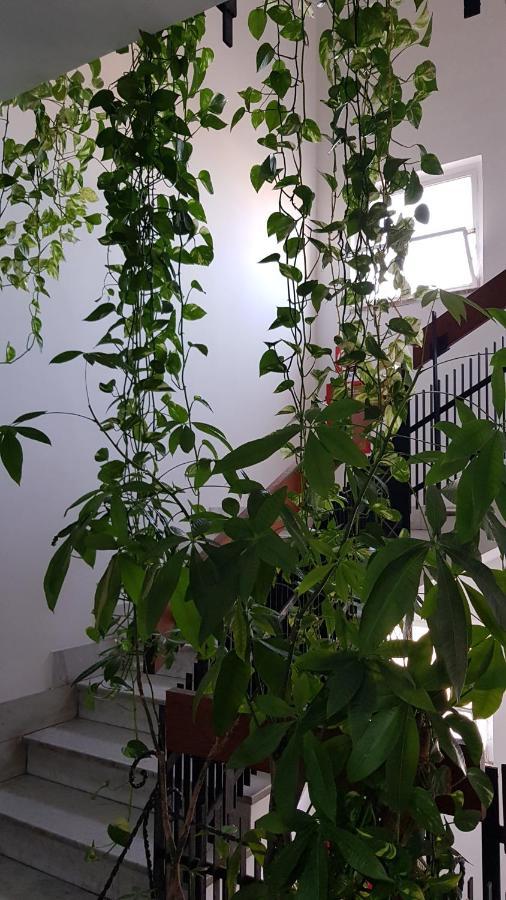 塔兰托Amanda'S Panorama公寓 外观 照片
